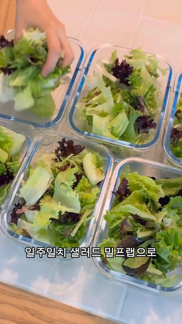 만능 진공밀폐 유리용기 시리즈
