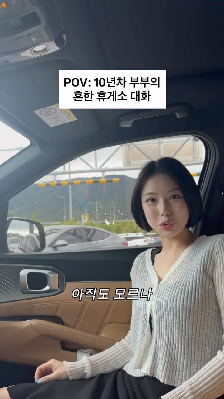 차전자핏
