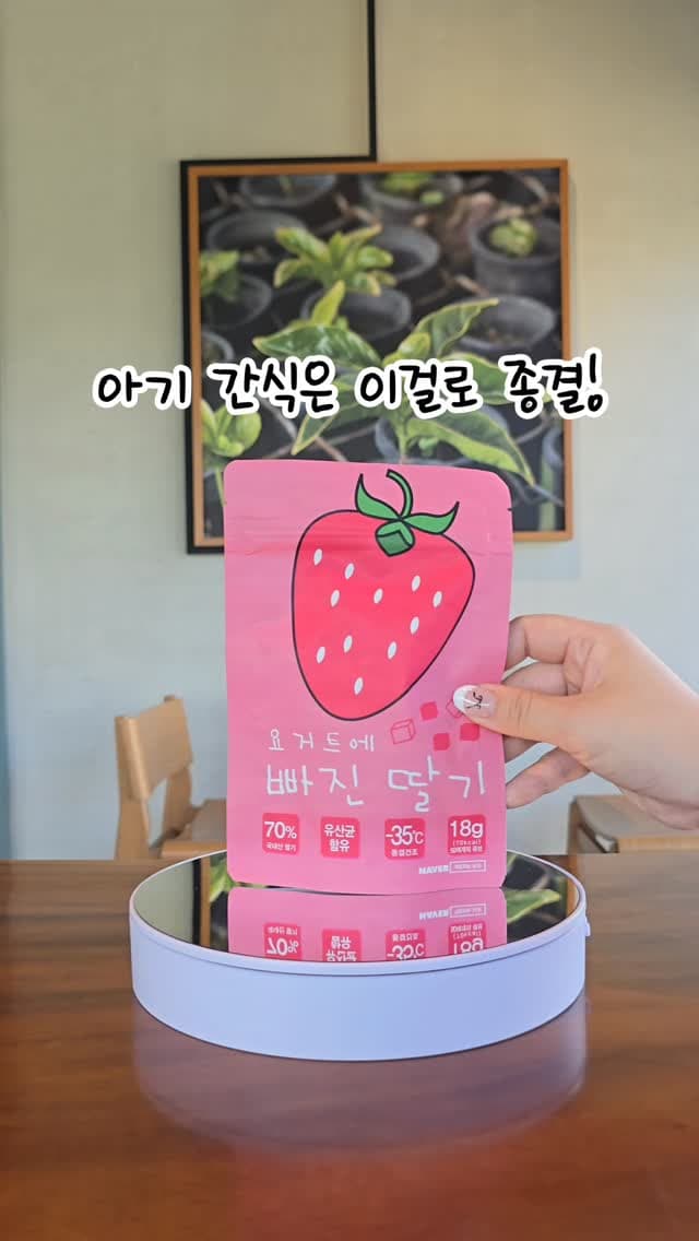 동결건조칩 세트