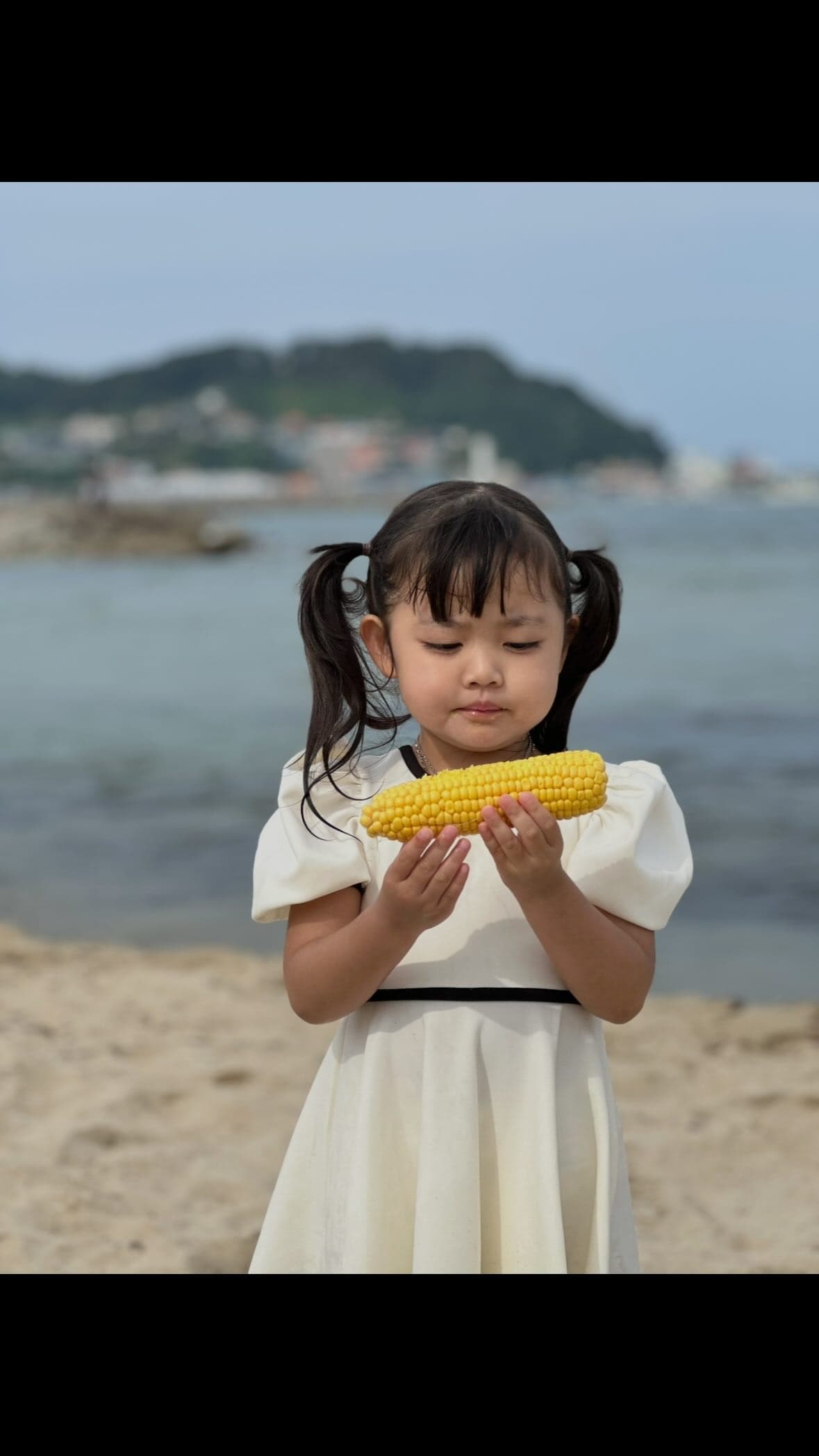 초당옥수수