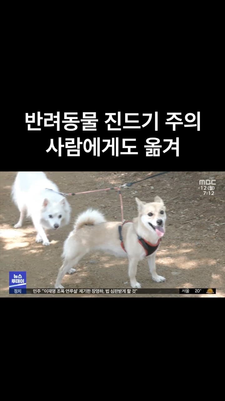 블랙도기 가을 특별전