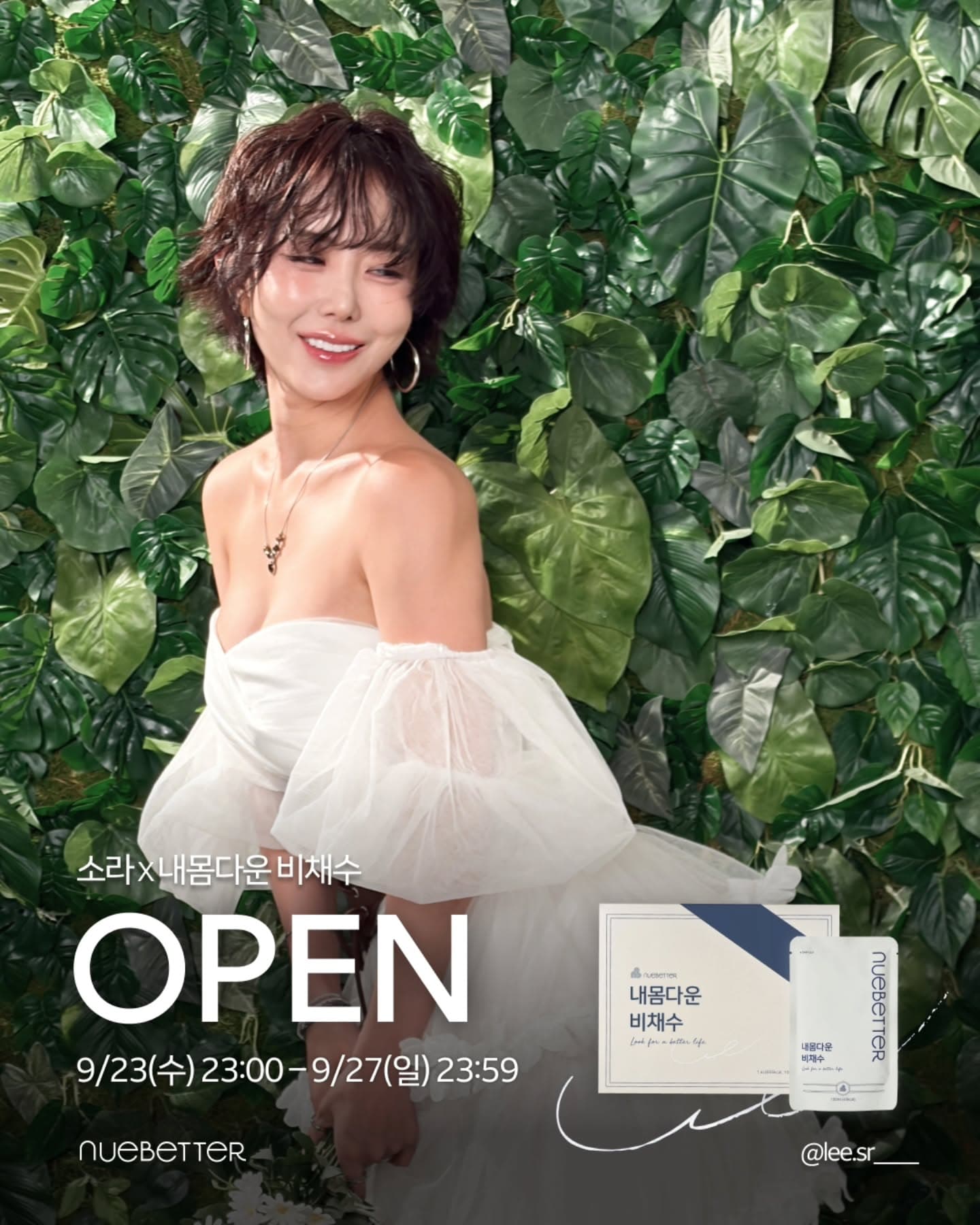 비채수 11차