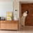 solsol_home