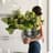 _danihome_