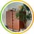 salimgage_home